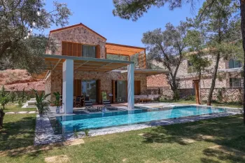 Property in Torba